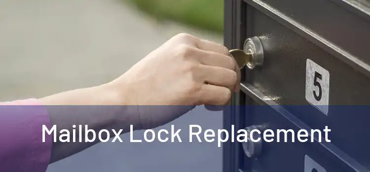  Mailbox Lock Replacement 